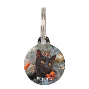 Placa Para Mascotas Gato negro,
