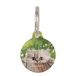 Placa Para Mascotas Gato persa lindo