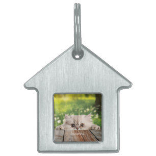 Placa Para Mascotas Gato persa lindo asomándose