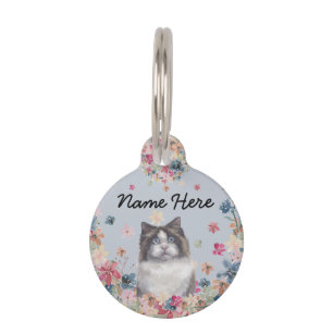 Placa Para Mascotas Gato Ragdoll Kitten Blue Eyes