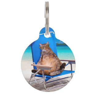 Placa Para Mascotas Gato relajante en la playa