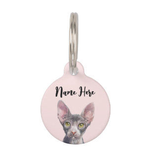 Placa Para Mascotas Gato Sfinx de color de agua rosado