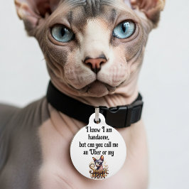 Placa Para Mascotas Gato Sphynx Divertido 