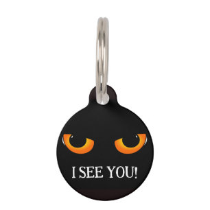 Placa Para Mascotas "Gato travieso"