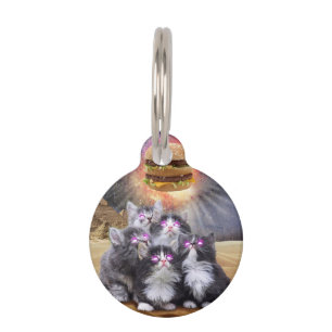 Placa Para Mascotas Gatos egipcios mirando una hamburguesa