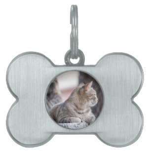 Placa Para Mascotas Gatos en tabú en reposo