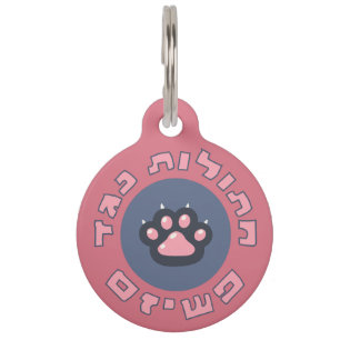 Placa Para Mascotas Gatos hebreos contra el fascismo Activismo judío