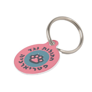 Placa Para Mascotas Gatos hebreos contra el patriarcado Feminista Judí