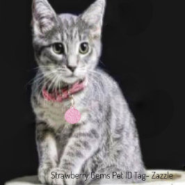 Placa Para Mascotas Gemas de fresa