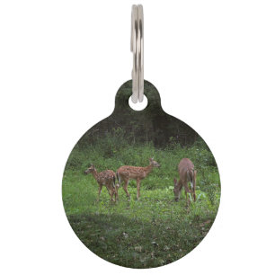 Placa Para Mascotas Gemelos y su mamá