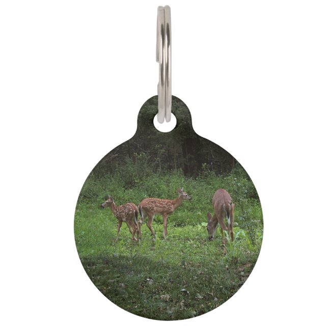 Placa Para Mascotas Gemelos y su mamá (Anverso)