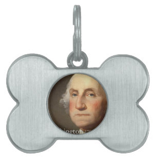 Placa Para Mascotas George Washington