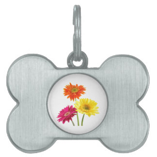Placa Para Mascotas Gerbera Daisies