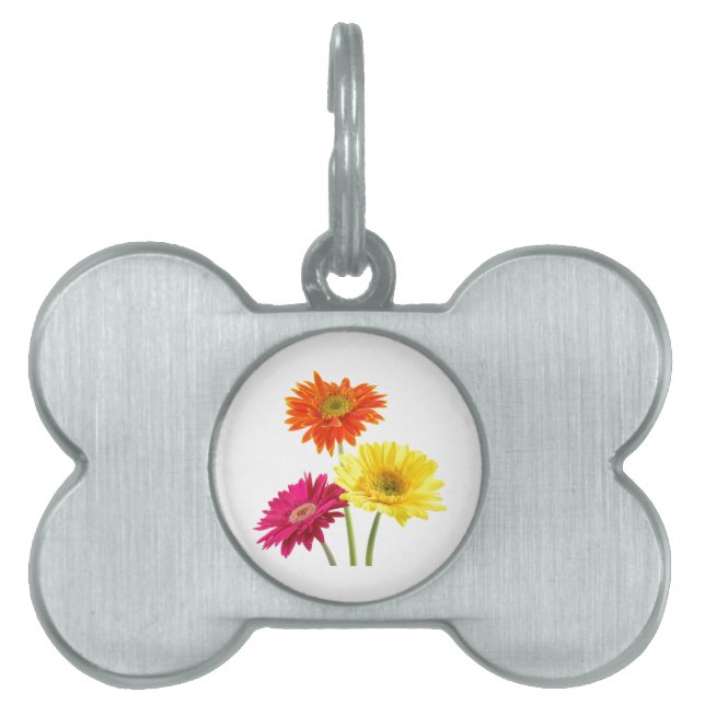 Placa Para Mascotas Gerbera Daisies (Frente)