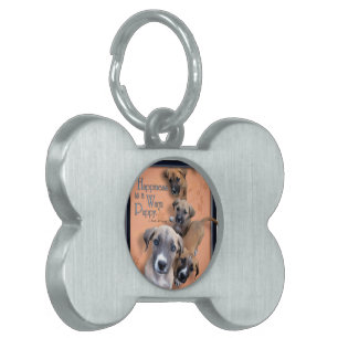 Placa Para Mascotas Giants apacible rescata