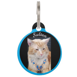 Placa Para Mascotas Ginger Cat, joyería, nombre y personalizar fotográ