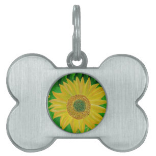 Placa Para Mascotas Girasol