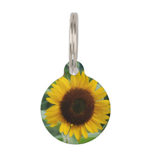 Placa Para Mascotas Girasol