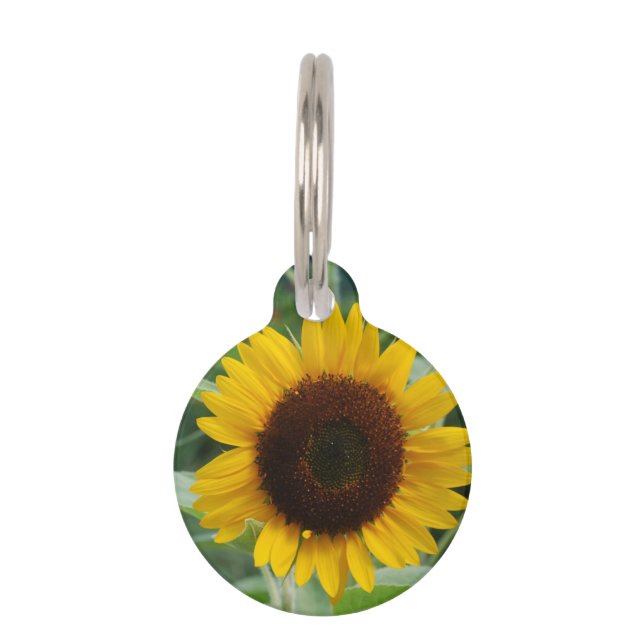Placa Para Mascotas Girasol (Anverso)