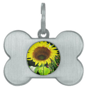 Placa Para Mascotas Girasol amarillo grande