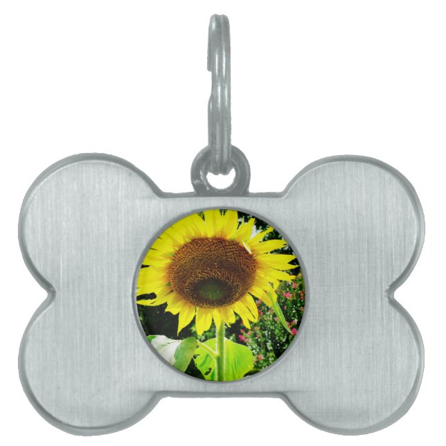 Placa Para Mascotas Girasol amarillo grande (Frente)