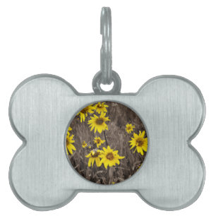Placa Para Mascotas Girasol en la Montaña Rocosa