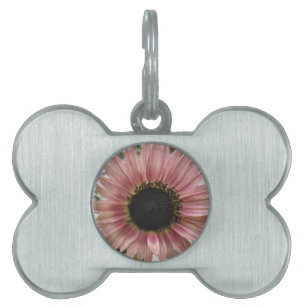 Placa Para Mascotas Girasol rosa pálido
