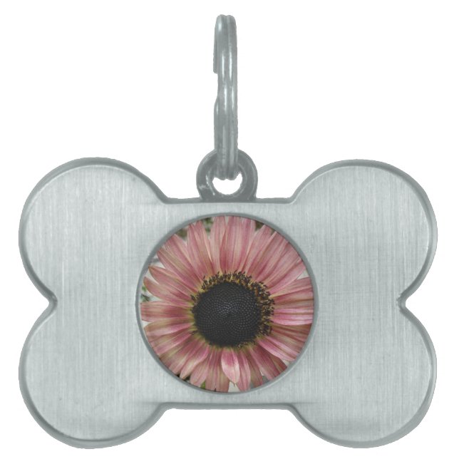 Placa Para Mascotas Girasol rosa pálido (Frente)