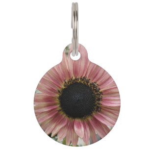 Placa Para Mascotas Girasol rosa pálido personalizado