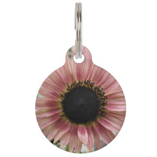 Placa Para Mascotas Girasol rosa pálido personalizado