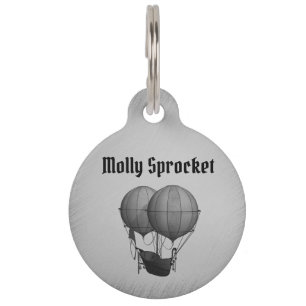 Placa Para Mascotas Globos de aire caliente de plata de vapor con barc