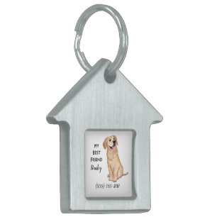 Placa Para Mascotas Golden Retriever My Best Friend Personalizado Dog
