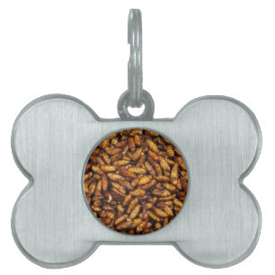 Placa Para Mascotas Gomas de seda fritas... Comida callejera tailandes