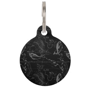Placa Para Mascotas Grabado de mapas de Pisces Constellation Hevelius 