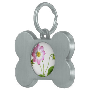 Placa Para Mascotas Gracia
