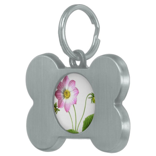 Placa Para Mascotas Gracia (Frente Derecha)
