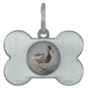 Placa Para Mascotas Graciosa etiqueta de mascota de pato