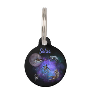 Placa Para Mascotas Gracioso espacio Sfinx Gatos Galaxia flotante Gato