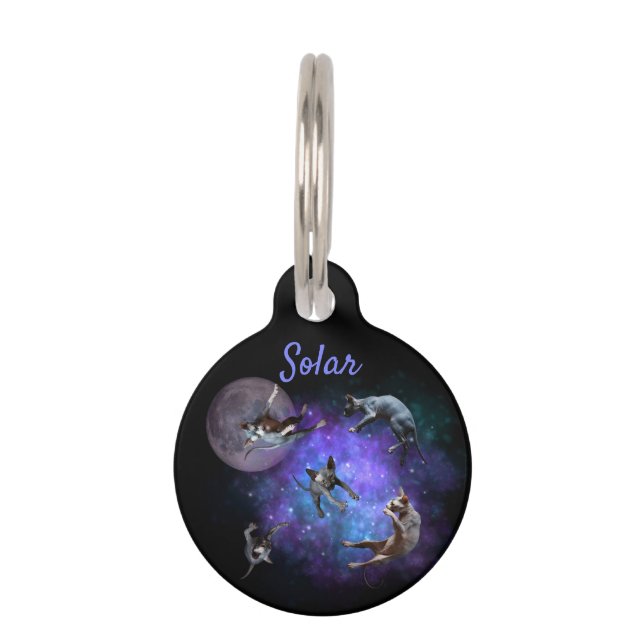 Placa Para Mascotas Gracioso espacio Sfinx Gatos Galaxia flotante Gato (Anverso)