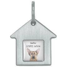 Gracioso lindo GSD Pastor Alemán de Agua de Perro