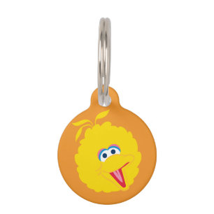 Placa Para Mascotas Gran cara de pájaro