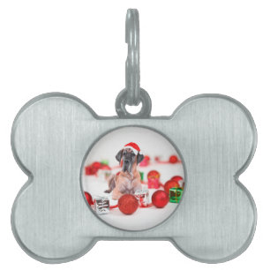 Placa Para Mascotas Gran Danés con Adornos de Navidad Regalos