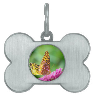 Placa Para Mascotas Gran Fritillary Español