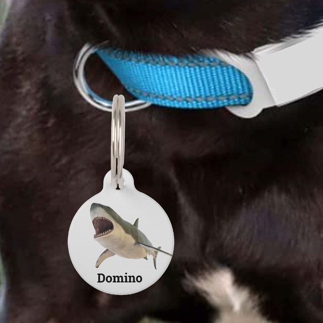 Placa Para Mascotas Gran Id. de gato perdido de perro Mascota de tibur (Subido por el creador)