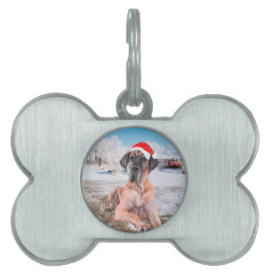 Placa Para Mascotas Gran Perro De Azulejos Sentado En Gorra De Navidad