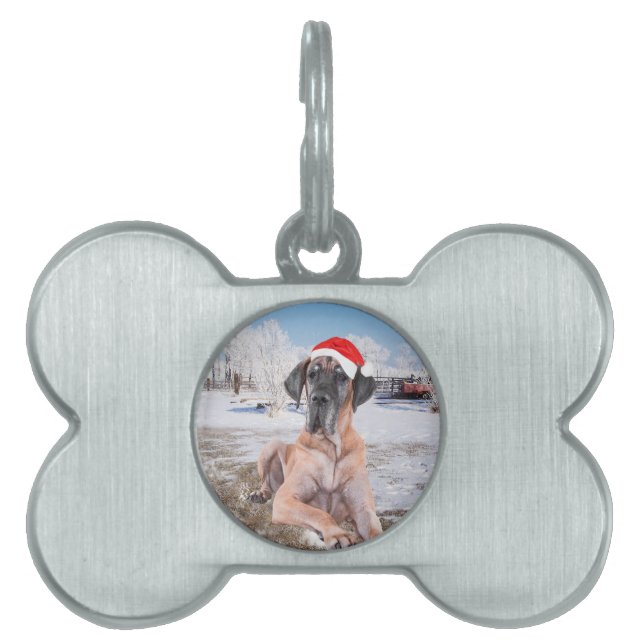 Placa Para Mascotas Gran Perro De Azulejos Sentado En Gorra De Navidad (Frente)