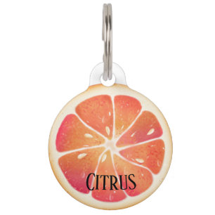 Placa Para Mascotas Grapefruit Citrus Fruit Personalizado
