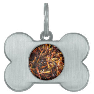 Placa Para Mascotas Grasas fritas (Takkataen Thot) Comida asiática