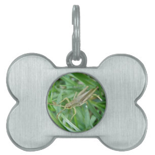 Placa Para Mascotas Grasshopper Pet Tag
