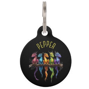 Placa Para Mascotas Grupo Arcoíris de Bebés Dragones en Mascotas Negra